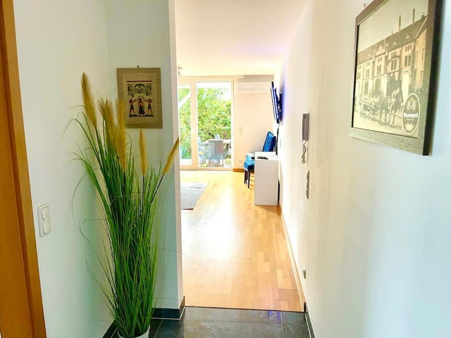Schoene Wohnung Mit Eigenen Eingang Und Terrasse Gosseling Exteriör bild
